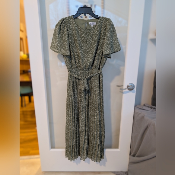 Polagram Dresses & Skirts - Polagram Sage Green Pleated Full Length Dress with Tie Waist - Size Large